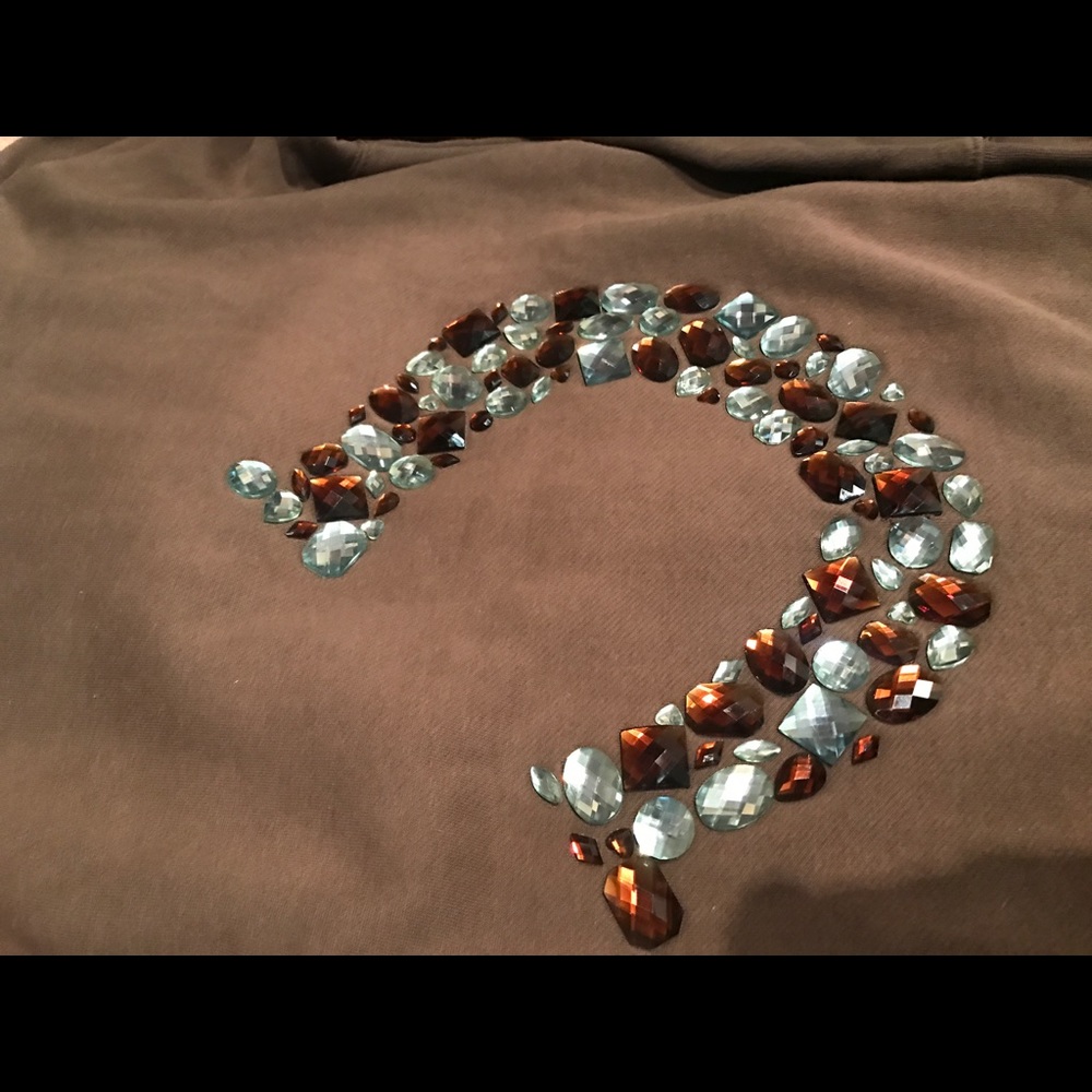 Rhinestone horse shoe hoodie